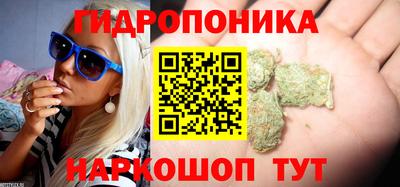 ПСИЛОЦИБИНОВЫЕ ГРИБЫ Пугачёв