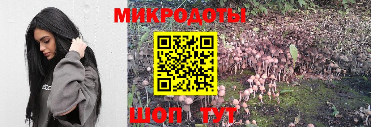 Галлюциногенные грибы ЛСД  Вход с VPN  Санкт-Петербург 